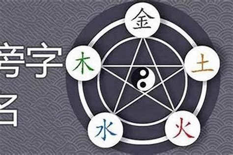 姿五行|姿字五行属什么